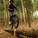 Moors Valley Country Park Gallery
